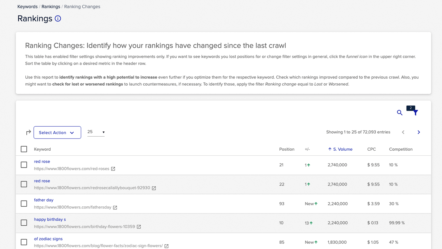 XOVI NOW SEO Tools | Comprehensive SEO Analysis - WafaTech - Rankings